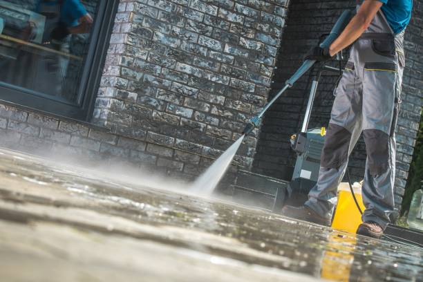 Best Roof Cleaning and Mildew Removal in Svis, IL